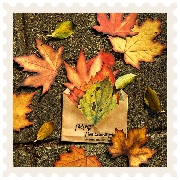 Papel PET para álbum de recortes con mensajes de hojas de otoño