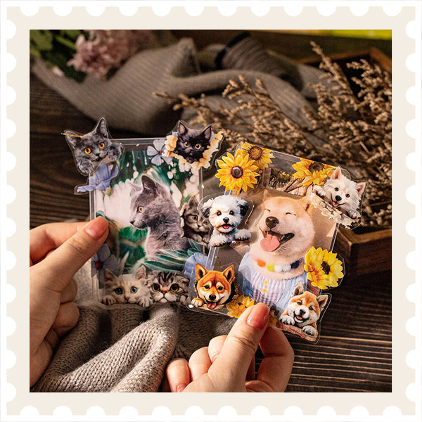 Cinta adhesiva para mascotas Cozy Pets Corner