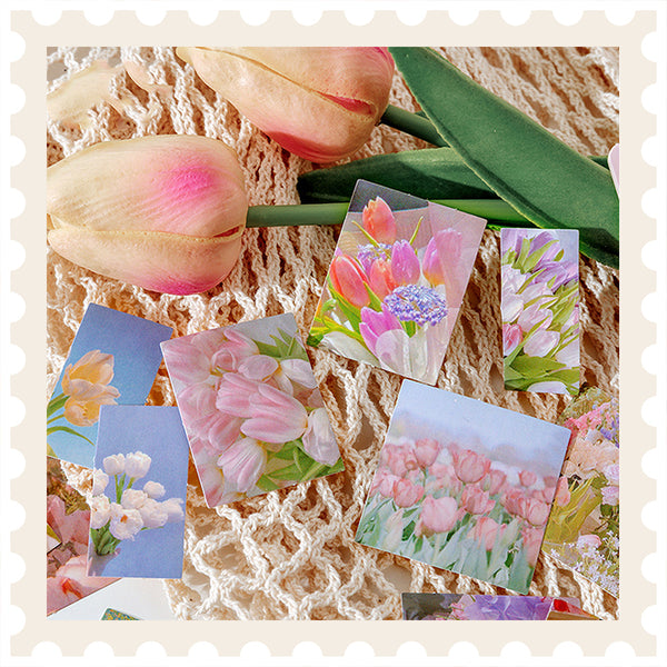 Set de pegatinas de principios de primavera en Nara