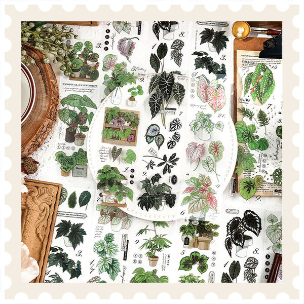 Cinta PET Greenery Lab